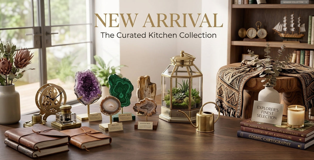 New Arrival
